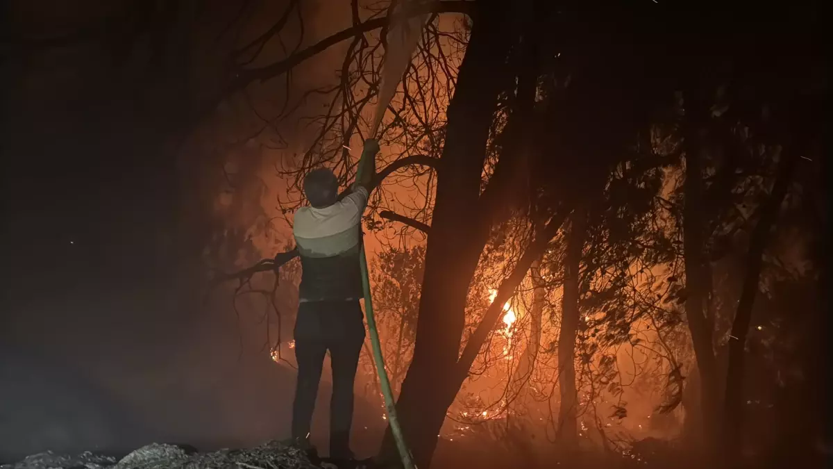 milasta orman yangini havadan goruntulendi bK3cTfwk