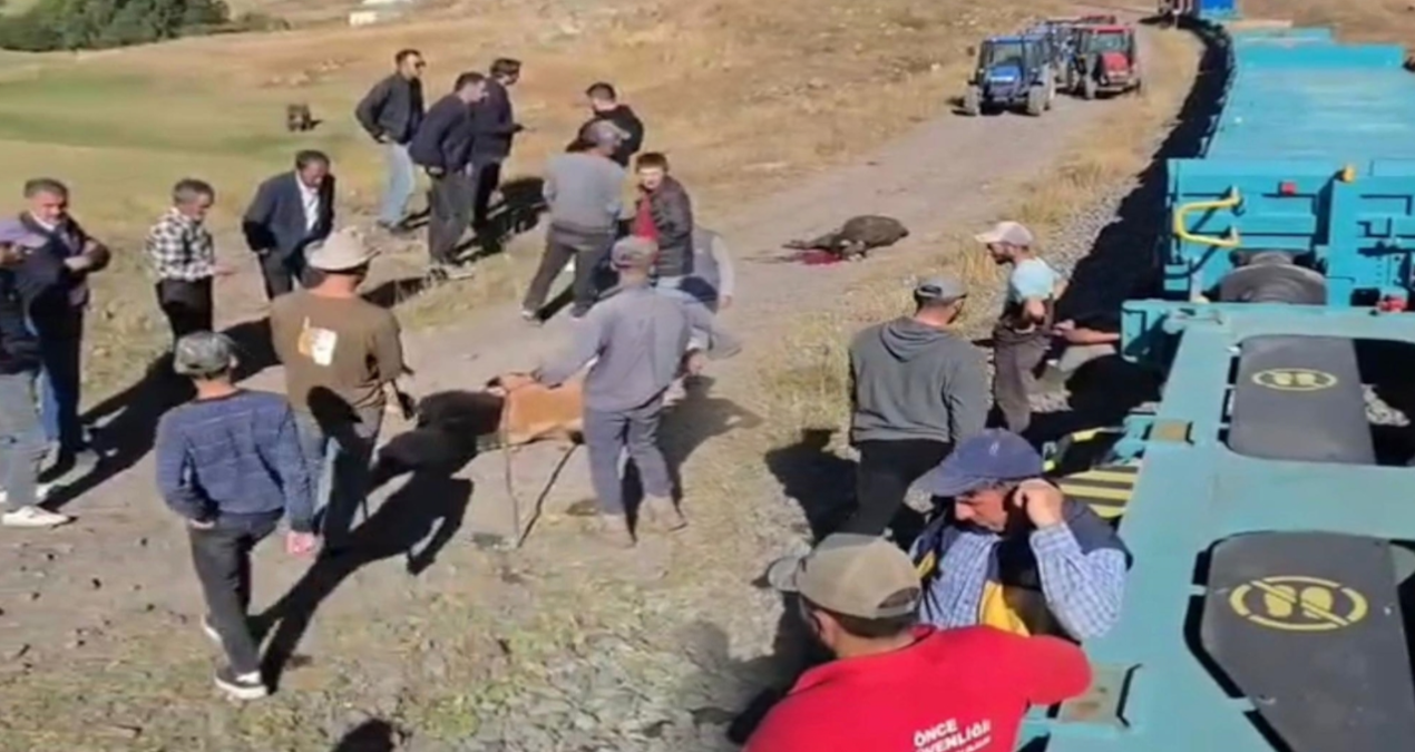 yuk treni buyukbas surusune carpti 5 inek oldu xxybR36k