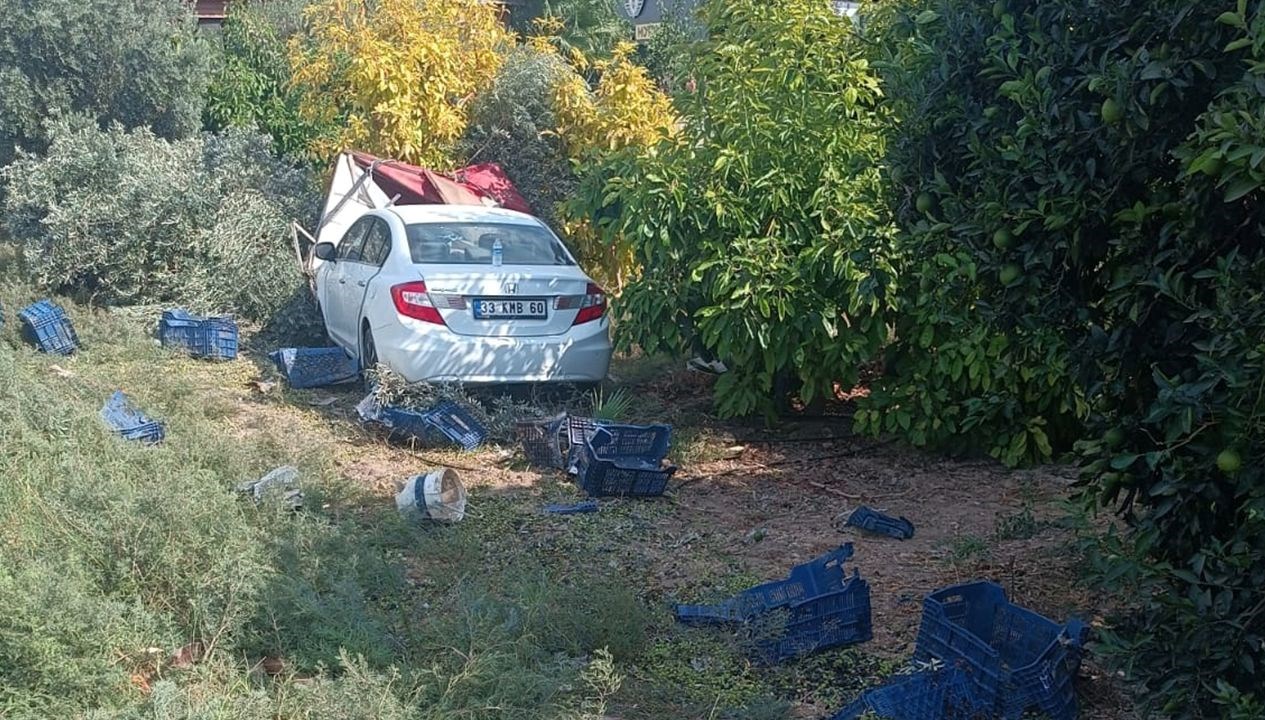 zeytin toplayan iscilere carpti olu sayisi yukseldi RXIkAQ46