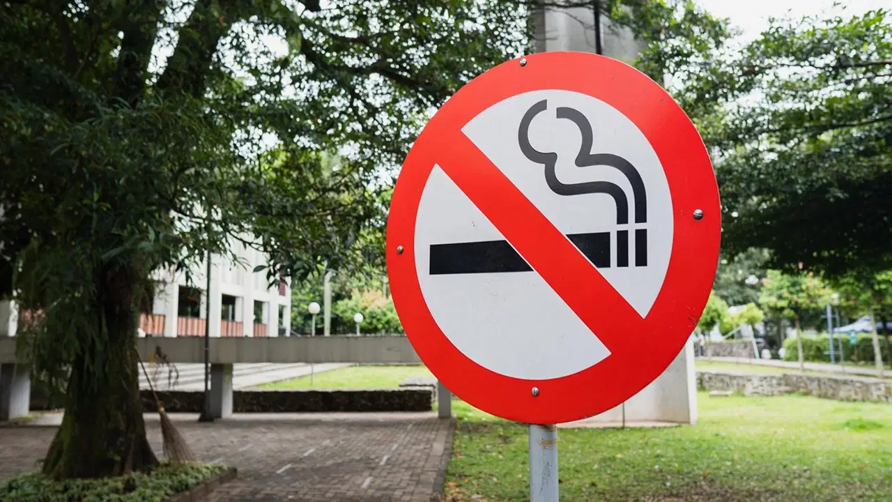 boluda cocuk parklarinda sigara icmek yasaklanacak 4XYb5sDe.jpg