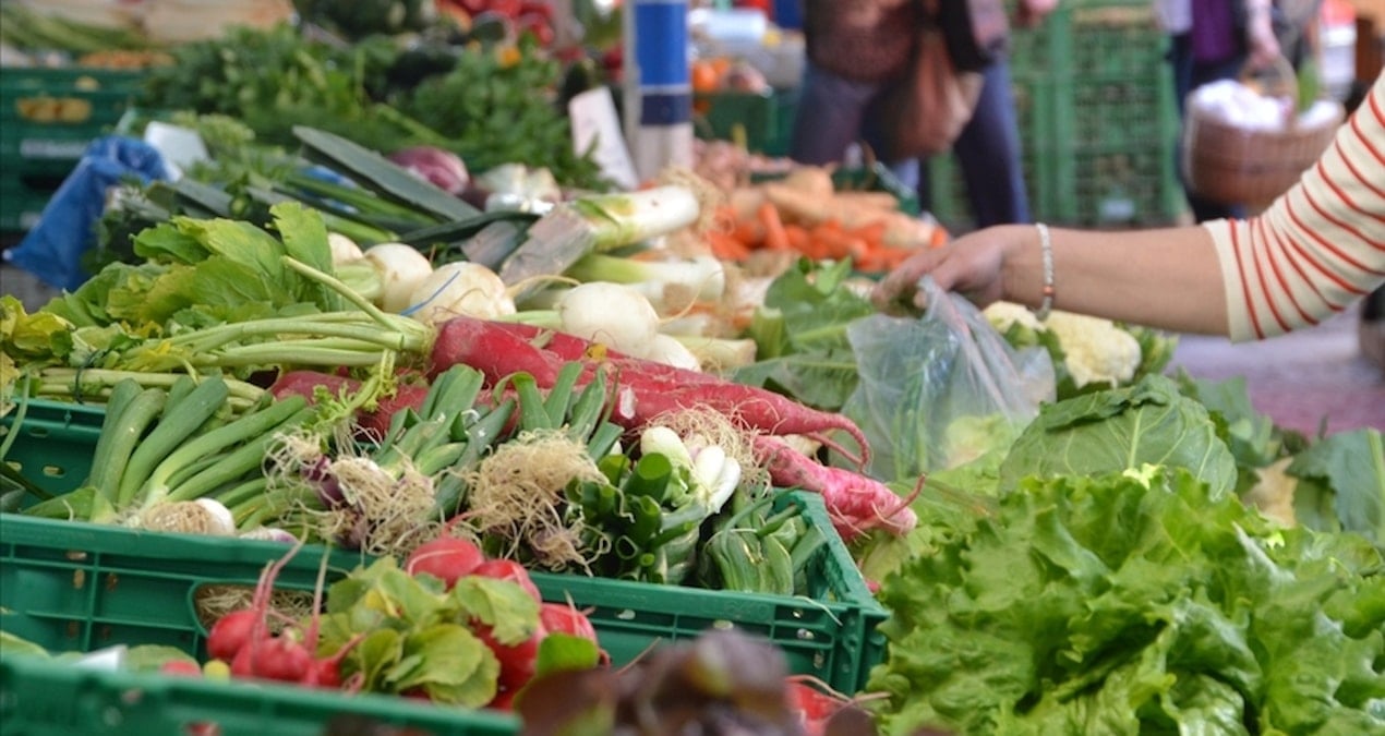 Gıda Krizi Tehlikesi: Rusya Gübre İhracatını Yıl Sonuna Kadar Uzattı