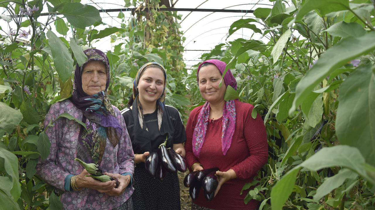 Üç Kuşak Kadın Çiftçi: Yayla ve Sera Arasında Emeğin Hikayesi
