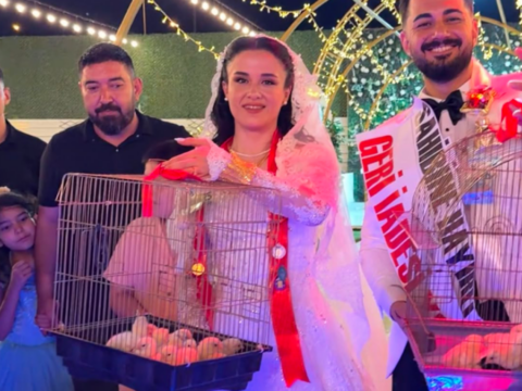Damada dugunde siradisi hediye altin yerine 100 civciv takti IMFwTLRQ